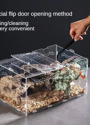 Transparent Acrylic Reptile Terrarium Habitat Box Nano Arboreal Tarantula Enclosure Spider Scorpion Bearded Dragon Habitat