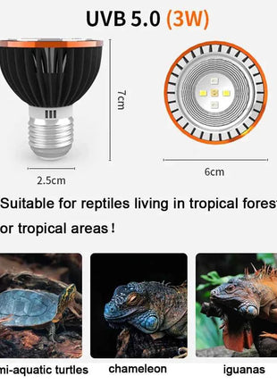 Professional 3W Reptile Lamp UVA UVB5.0 UVB10.0 Lmap LED Bulb Turtle Tortoise Lizard Basking Sunlight UVB Bulb Lighting