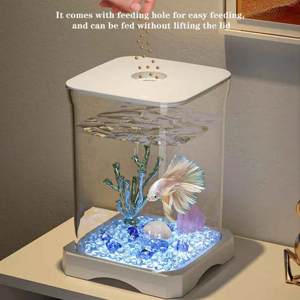 Small Acrylic Aquarium Fish Tank Starter Kit with LED Light Desktop Ecosystem for Fish Keeping Home Office Decoration Clear