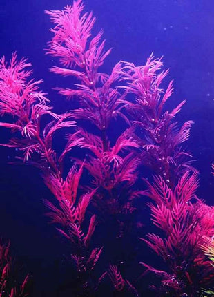 Artificial Aquarium Decor Plants Water Weeds Ornament Aquatic Fish Tank Simulation Grass Flower Decoration Accessories