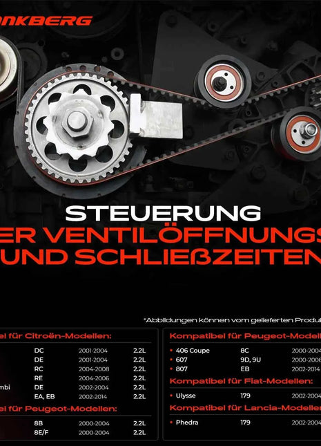 Kit Cinghia di Distribuzione Frankberg 1x per Citroën C5 I II C8 Peugeot 406 607 807 Lancia Fiat 2.2L 530023410 5592172 KTB293