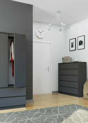 AKORD S90 Armadio Grigio Grafite 90 cm 2 Ante 2 Cassetti Colore Grigio Grafite Opaco 4 Ripiani 90x51x180 cm