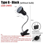 B(without bulb)