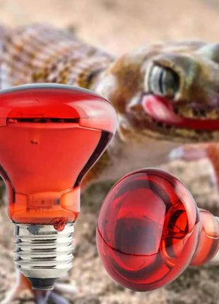 Pet Heating Lamp UVA Day Night Amphibian Amphibian Snake Lamp Heat Reptile Bulb Light Heat Reptile Bulb 25/50/75/100W 220-240V