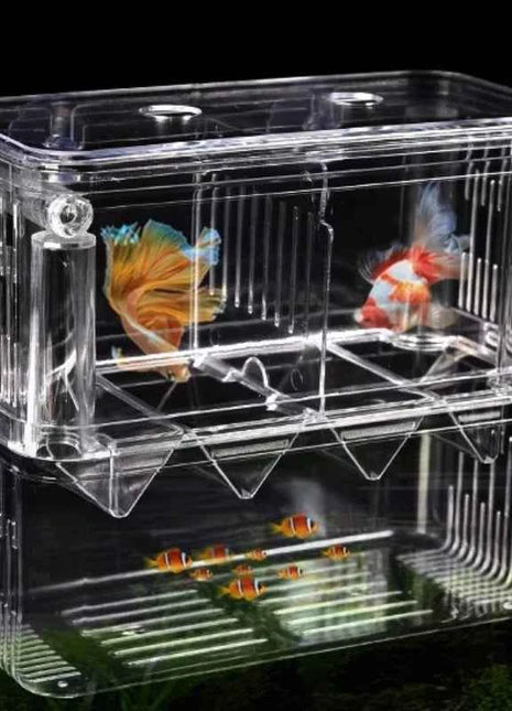 Acrylic 3 Sizes Double-Deck Clear Fish Breeding Isolation Box Hatchery Divider for Shrimp Clownfish Aggressive Fish Injured