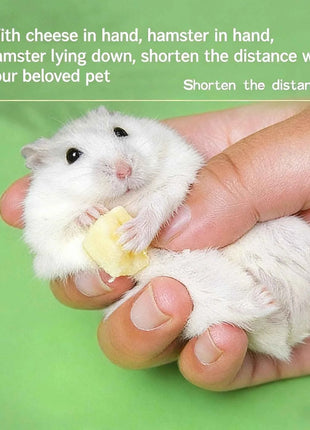 Hamster cheese teeth-grinding snacks, freeze-dried cheese, edible golden hamster food, nutrition supplement for weight gain, cal