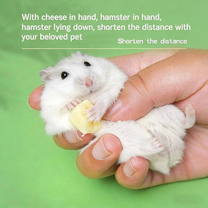 Hamster cheese teeth-grinding snacks, freeze-dried cheese, edible golden hamster food, nutrition supplement for weight gain, cal