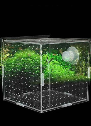Acrylic Isolation Box Fish Tank Transparent Aquarium Small Fry Incubator Breeding Box Single Double Multi-grid Isolation Net