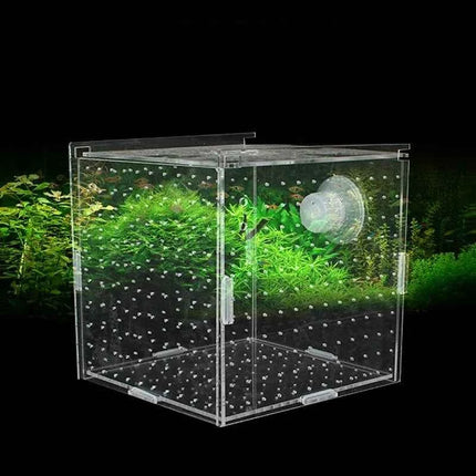 Acrylic Isolation Box Fish Tank Transparent Aquarium Small Fry Incubator Breeding Box Single Double Multi-grid Isolation Net