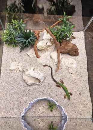 Reptile Aquatic Dual-Use Cave Tunnel Hideout Non-Toxic Decor for Gecko Crab Fish Shrimp Aquarium Terrarium Land Water Landscape