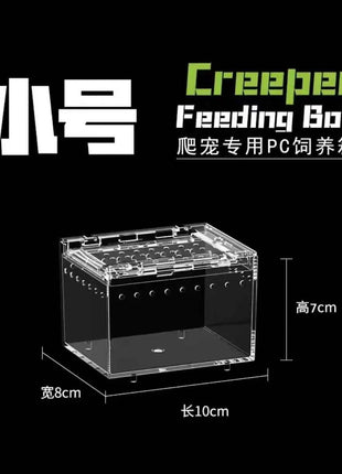 Seamless Transparent Preassembled Reptile Habitat Tank For Hermit Crab Frog Gecko Scorpion Snake Tabletop Home Display For Kids