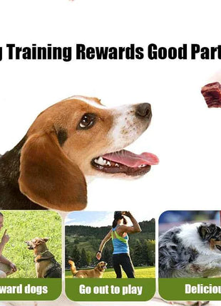 Pet shop dog snacks beef 500g chicken teddy pet training reward