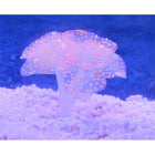 1Pc Silicone Glowing Artificial Fish Tank Aquarium Coral Plants Ornament Underwater Pets Decor Aquatic Pet Supplies Decoration