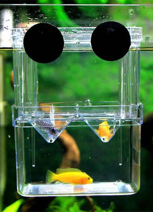 S/L/XL Aquarium Breeder Box Fish Breeding Isolation Box Fish Hatchery Acrylic Divider Shrimp Clownfish Aggressive Fish Injured