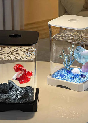 Small Acrylic Aquarium Fish Tank Starter Kit with LED Light Desktop Ecosystem for Fish Keeping Home Office Decoration Clear