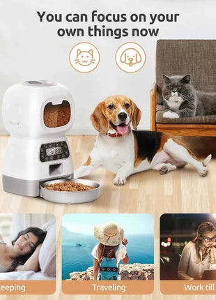 3.5L Automatic Pet Feeder For Cats WiFi Smart Swirl Slow Dog Feeder With Voice Recorder Large Capacity Timing Cat Food Dispenser