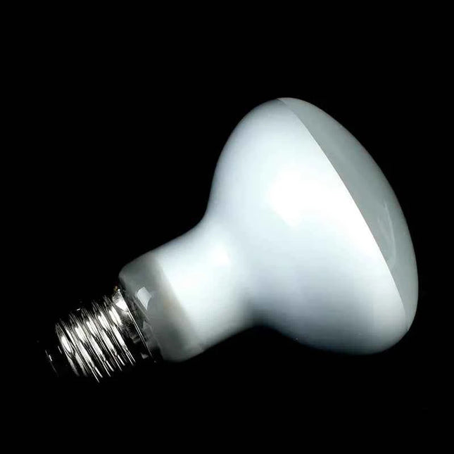 40W 50W 75W 100W UVA Reptile Lamp Bulb Turtle Basking Light Bulbs Heating Lamp Amphibians Lizards Temperature Controller