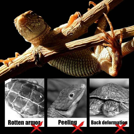Reptile heating lamp holder UVA UVB Light Rotatable Basking Spot Light Simulated Sunlight For Turtle Lizard Dimmable 220-240V