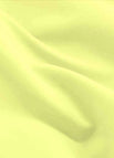 daffodil / XL