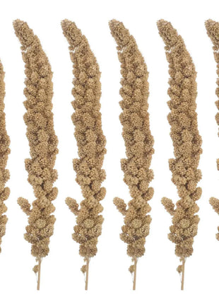 Millet Treat for Pet Birds Bird Snack Natural Dried Millet for Parakeets Parrots Cockatiels Lovebirds Budgies Finches Supplies