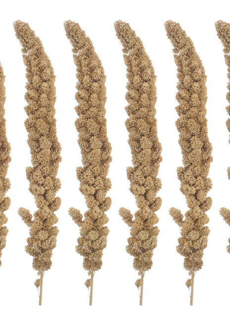 Millet Treat for Pet Birds Bird Snack Natural Dried Millet for Parakeets Parrots Cockatiels Lovebirds Budgies Finches Supplies