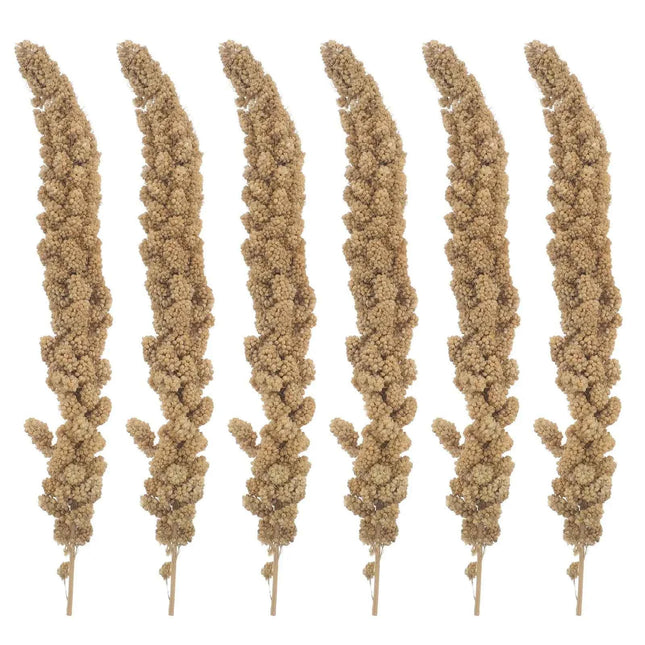 Millet Treat for Pet Birds Bird Snack Natural Dried Millet for Parakeets Parrots Cockatiels Lovebirds Budgies Finches Supplies