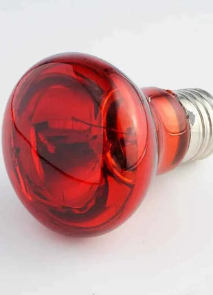 Pet Heating Lamp UVA Day Night Amphibian Amphibian Snake Lamp Heat Reptile Bulb Light Heat Reptile Bulb 25/50/75/100W 220-240V
