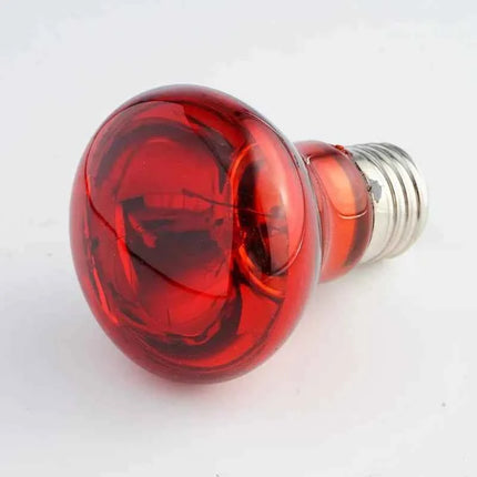 Pet Heating Lamp UVA Day Night Amphibian Amphibian Snake Lamp Heat Reptile Bulb Light Heat Reptile Bulb 25/50/75/100W 220-240V