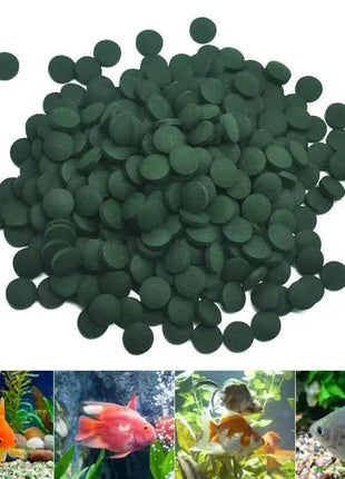 100/500pcs Spirulina Tablets Enrichment Favorite Pet Food fish crystal red shrimp pet food