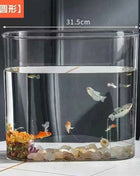PET Aquarium Box Plastics Ultra-white Organic Glass Explosion-proof Fish Tank Tabletop Small Ecological Water Tank