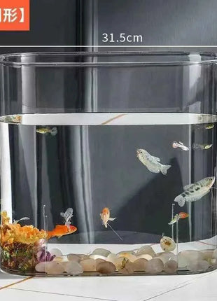 PET Aquarium Box Plastics Ultra-white Organic Glass Explosion-proof Fish Tank Tabletop Small Ecological Water Tank