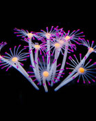 1Pc Silicone Glowing Artificial Fish Tank Aquarium Coral Plants Ornament Underwater Pets Decor Aquatic Pet Supplies Decoration
