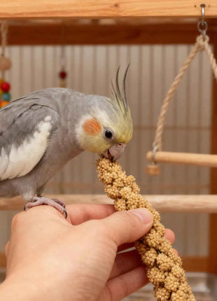 Millet Treat for Pet Birds Bird Snack Natural Dried Millet for Parakeets Parrots Cockatiels Lovebirds Budgies Finches Supplies