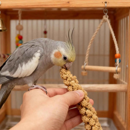 Millet Treat for Pet Birds Bird Snack Natural Dried Millet for Parakeets Parrots Cockatiels Lovebirds Budgies Finches Supplies