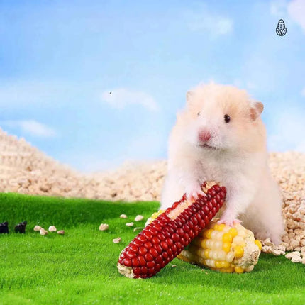 Hamster corn chew sticks, small corn, golden hamster, hamster, rabbit, chinchilla, mice, nutritious, chew and strengthen teeth