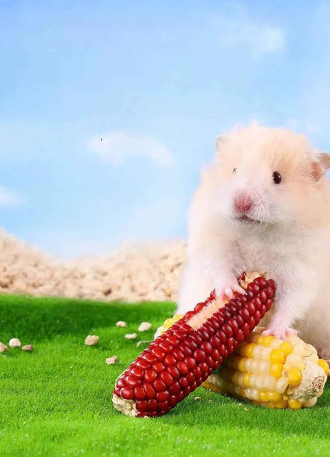 Hamster corn chew sticks, small corn, golden hamster, hamster, rabbit, chinchilla, mice, nutritious, chew and strengthen teeth