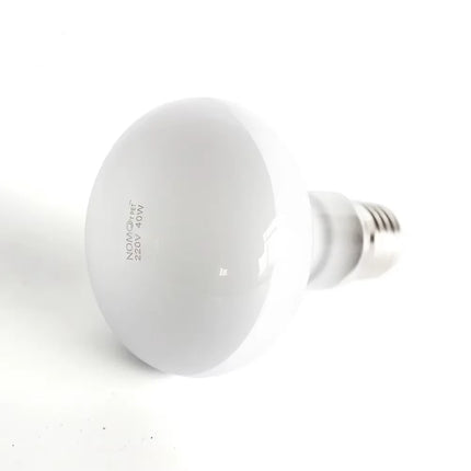 40W 50W 75W 100W UVA Reptile Lamp Bulb Turtle Basking Light Bulbs Heating Lamp Amphibians Lizards Temperature Controller