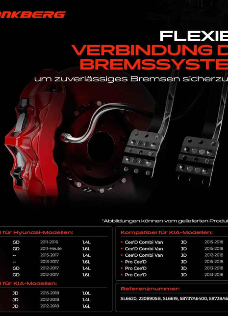 Tubo Freno Posteriore Sinistro e Destro Frankberg 2x per Hyundai i30 Coupé KIA Pro Cee'D SL6620 2208905B SL6619