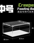 Seamless Transparent Preassembled Reptile Habitat Tank For Hermit Crab Frog Gecko Scorpion Snake Tabletop Home Display For Kids