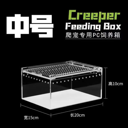 Seamless Transparent Preassembled Reptile Habitat Tank For Hermit Crab Frog Gecko Scorpion Snake Tabletop Home Display For Kids