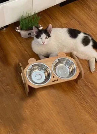 Pet Feeder Double Cat Food Bowl with Anti-Knockover Design Dog Water Feeding Container Cat Food Bowl Stander pet products