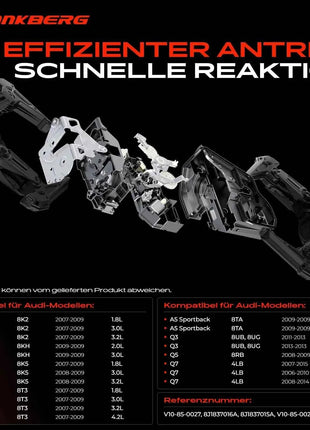 Frankberg 2x Serratura Porta Anteriore, Destra/Sinistra, per VW Touareg, Audi A4, A5, Q3, Q5, Q7, TT; V10-85-0027, 8J1837016A, 8J1837015A, V10-85-0028