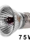 75W red light