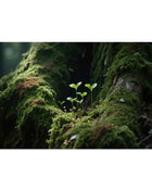 Aquarium Background Poster Large Forest Tree Trunk Moss PVC Waterproof Backdrop for Freshwater/Saltwater & Reptile Tanks