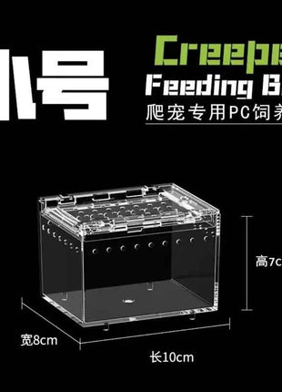 Seamless Transparent Preassembled Reptile Habitat Tank For Hermit Crab Frog Gecko Scorpion Snake Tabletop Home Display For Kids