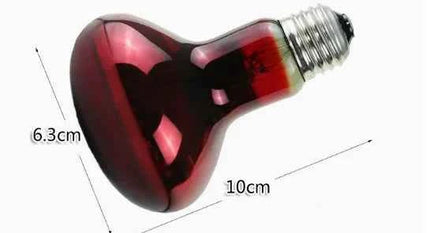 Pet Heating Lamp UVA Day Night Amphibian Amphibian Snake Lamp Heat Reptile Bulb Light Heat Reptile Bulb 25/50/75/100W 220-240V