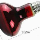 Pet Heating Lamp UVA Day Night Amphibian Amphibian Snake Lamp Heat Reptile Bulb Light Heat Reptile Bulb 25/50/75/100W 220-240V