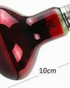 Pet Heating Lamp UVA Day Night Amphibian Amphibian Snake Lamp Heat Reptile Bulb Light Heat Reptile Bulb 25/50/75/100W 220-240V
