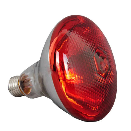 Infrared Heat Lamp Waterproof Anti-Explosion Thickened Light Bulbs For Piglet Chicken Birds Outdoor Heating Cooling Lighting