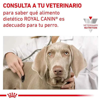 12 x 400g royal canin veterinary canine hypoallergenic mousse